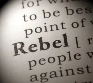 Great Lakes Media and Digital Marketing stopped telling you what big media and marketing companies wanted you to know and told you what you need to know. A rebellion from the way it's normally done.